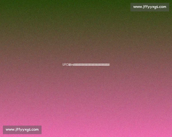 UFC小鹰vs康纳世纪之战全方位解析谁能笑到最后巅峰格斗历史时刻